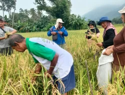 Lebih Dekat dengan Desa Pemberdayaan Vale IGP Morowali