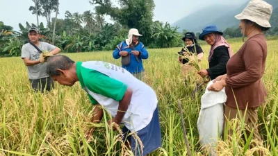 Lebih Dekat dengan Desa Pemberdayaan Vale IGP Morowali