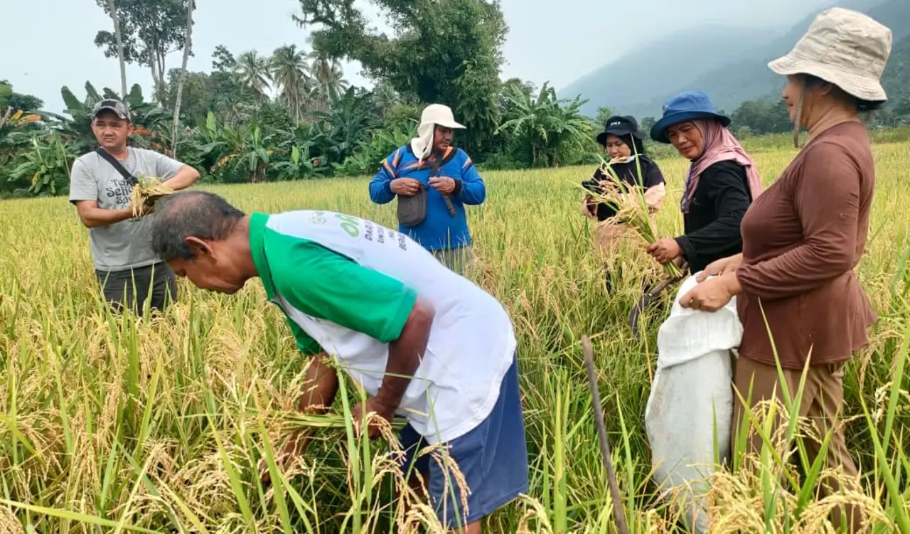 Aktivitas di Desa Pemberdayaan Vale IGP Morowali